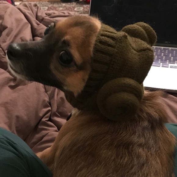 Meet your Posher, Kat - Picture 6 of 6